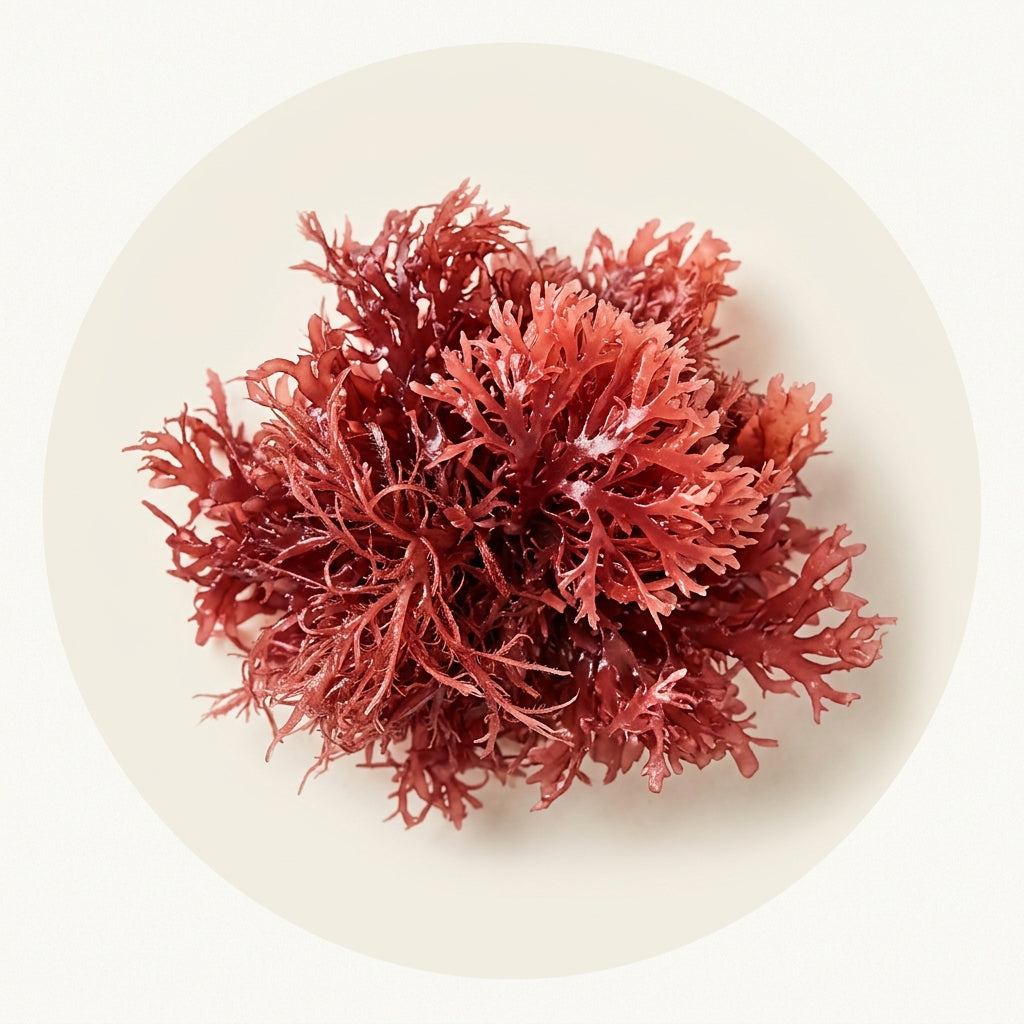 Astaxanthin