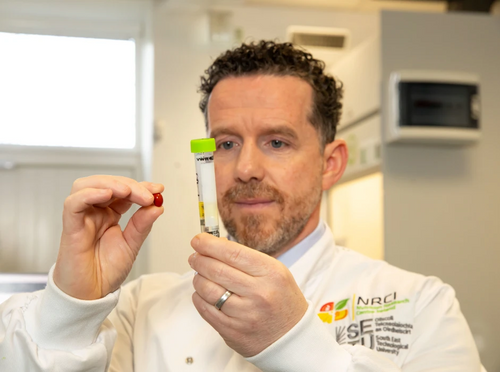 Dr. John Nolan, PhD