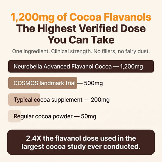 Neurobella Advanced Flavanol Cocoa Formula - Neurobella